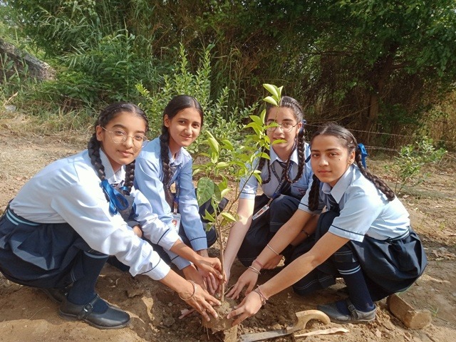 TREE PLANTATION ACTIVITY | ENVIRONMENTAL CLUB | GRADE: VIII-XII